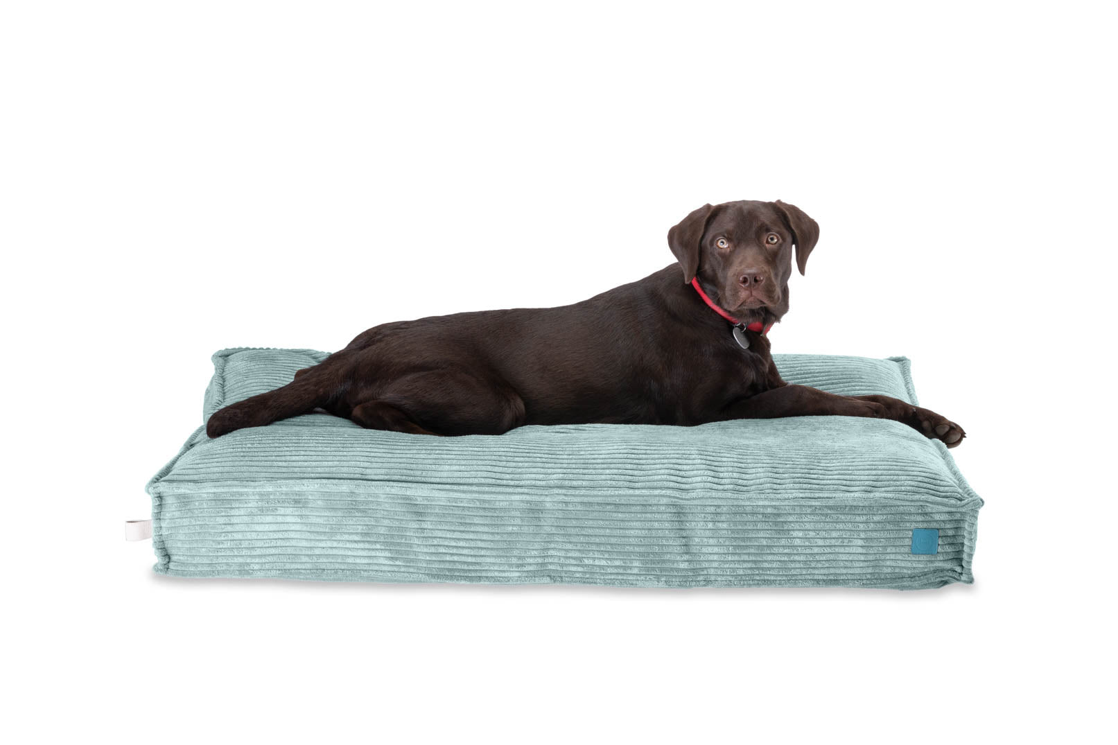 Memory Foam Dog Bed - Southlake Paws