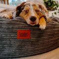 Load image into Gallery viewer, 50 Inch Forever Dog Bed (Waterproof) - Terry Corduroy
