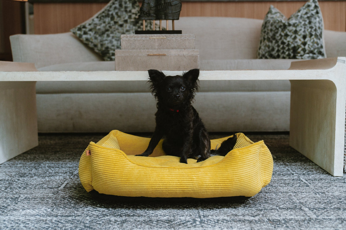 Bolster Beds Premium Chester & Lee | Fancy Corduroy Sleeper Dog Bed Sunny Yellow