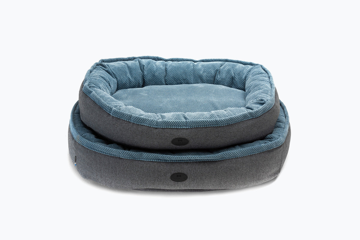 Donuts Premium Chester & Lee | Cuddly Bagel Dog Bed
