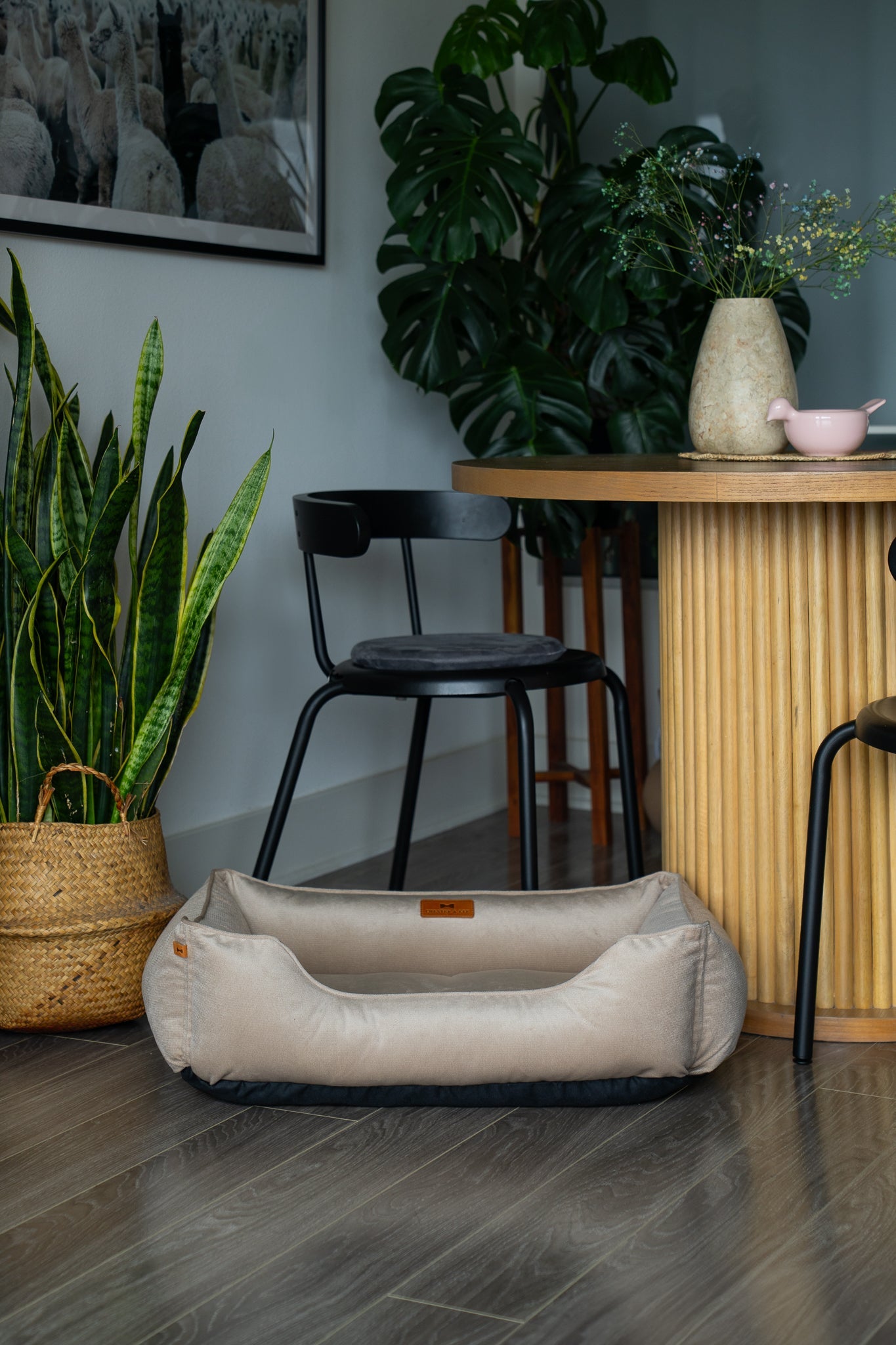 Bolster Beds Premium Chester & Lee | Classic Velvet Sleeper Dog Bed Beige