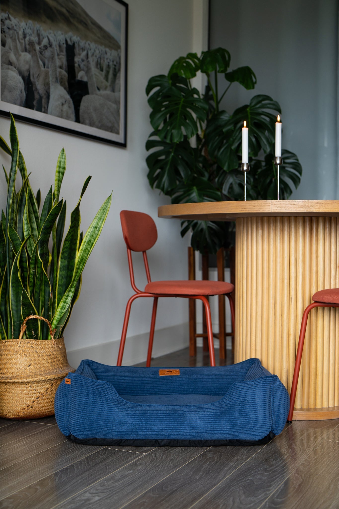 Chester & Lee | Fancy Corduroy Sleeper Dog Bed Blue - image 6