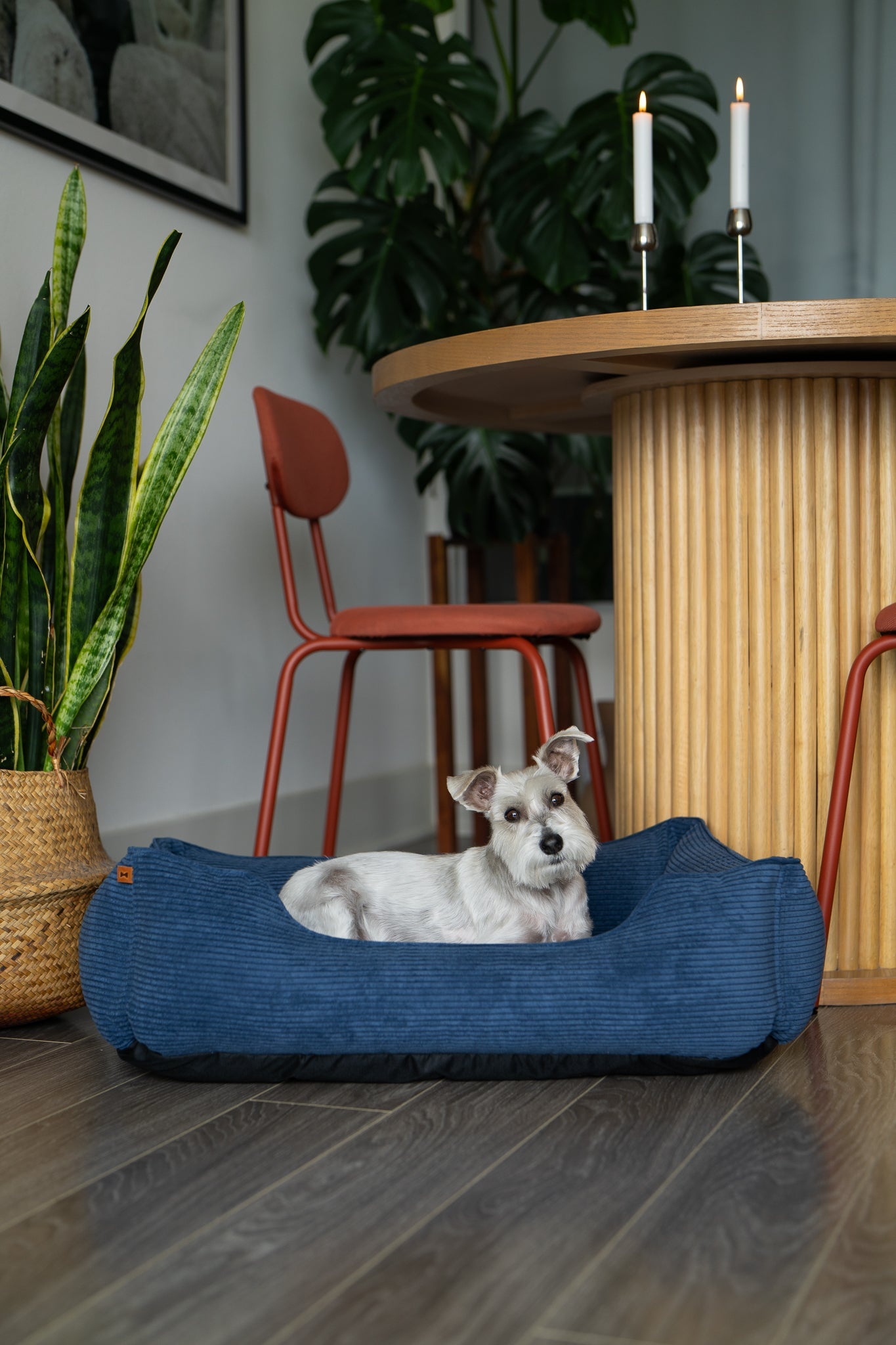 Pet Beds Premium Chester & Lee | Fancy Corduroy Sleeper Dog Bed