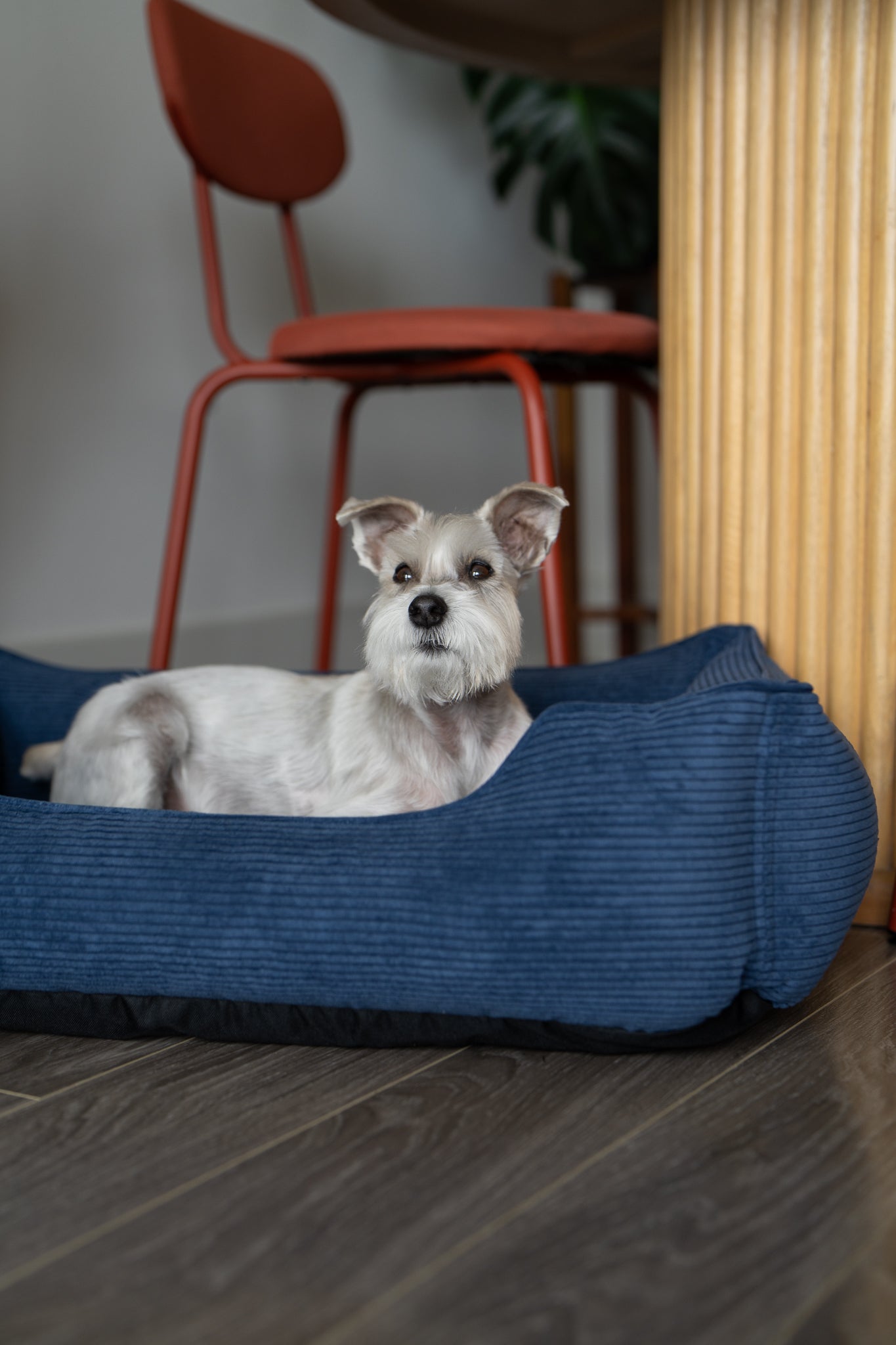 Pet Beds Premium Chester & Lee | Fancy Corduroy Sleeper Dog Bed