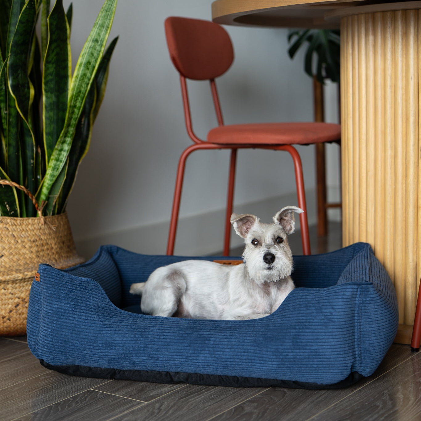 Bolster Beds Premium Chester & Lee | Fancy Corduroy Sleeper Dog Bed Blue