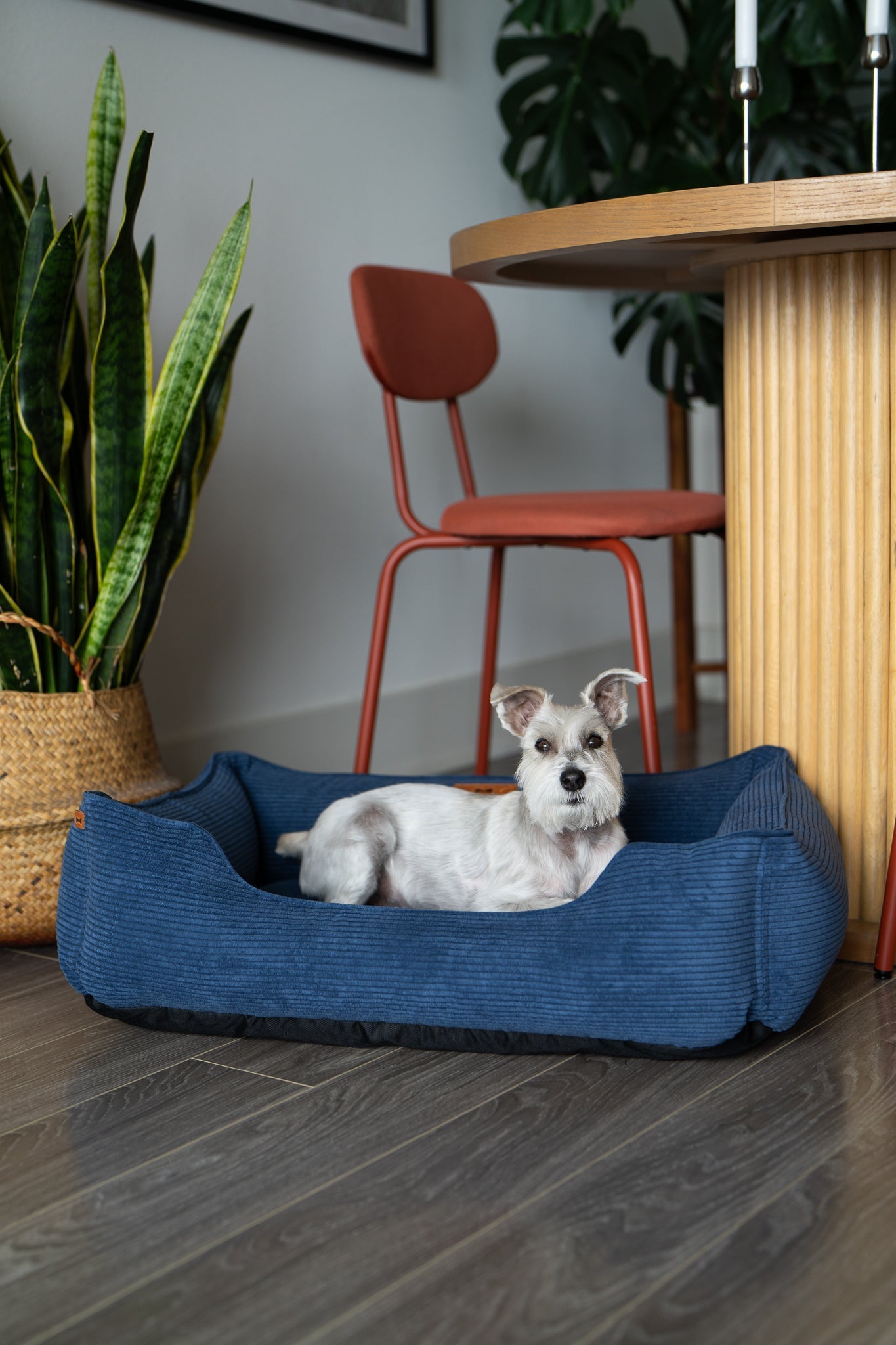 Pet Beds Premium Chester & Lee | Fancy Corduroy Sleeper Dog Bed