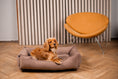 Load image into Gallery viewer, Corduroy Dog Bed Dreamer - Southlake Paws
