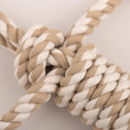 Load image into Gallery viewer, Birch Bunny X-Brace™ Plush Dog Toy - image 11
