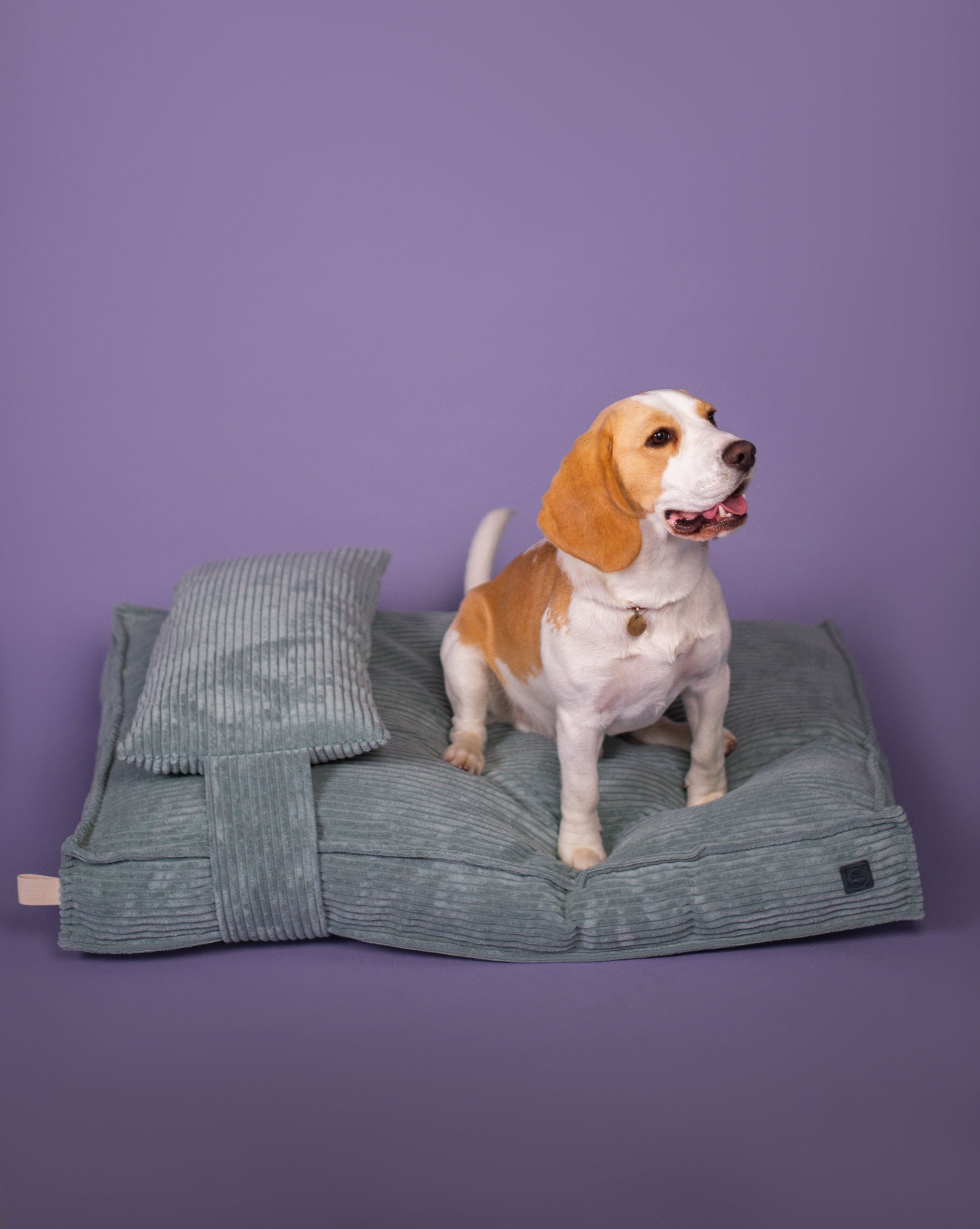 Memory Foam Dog Bed - Southlake Paws