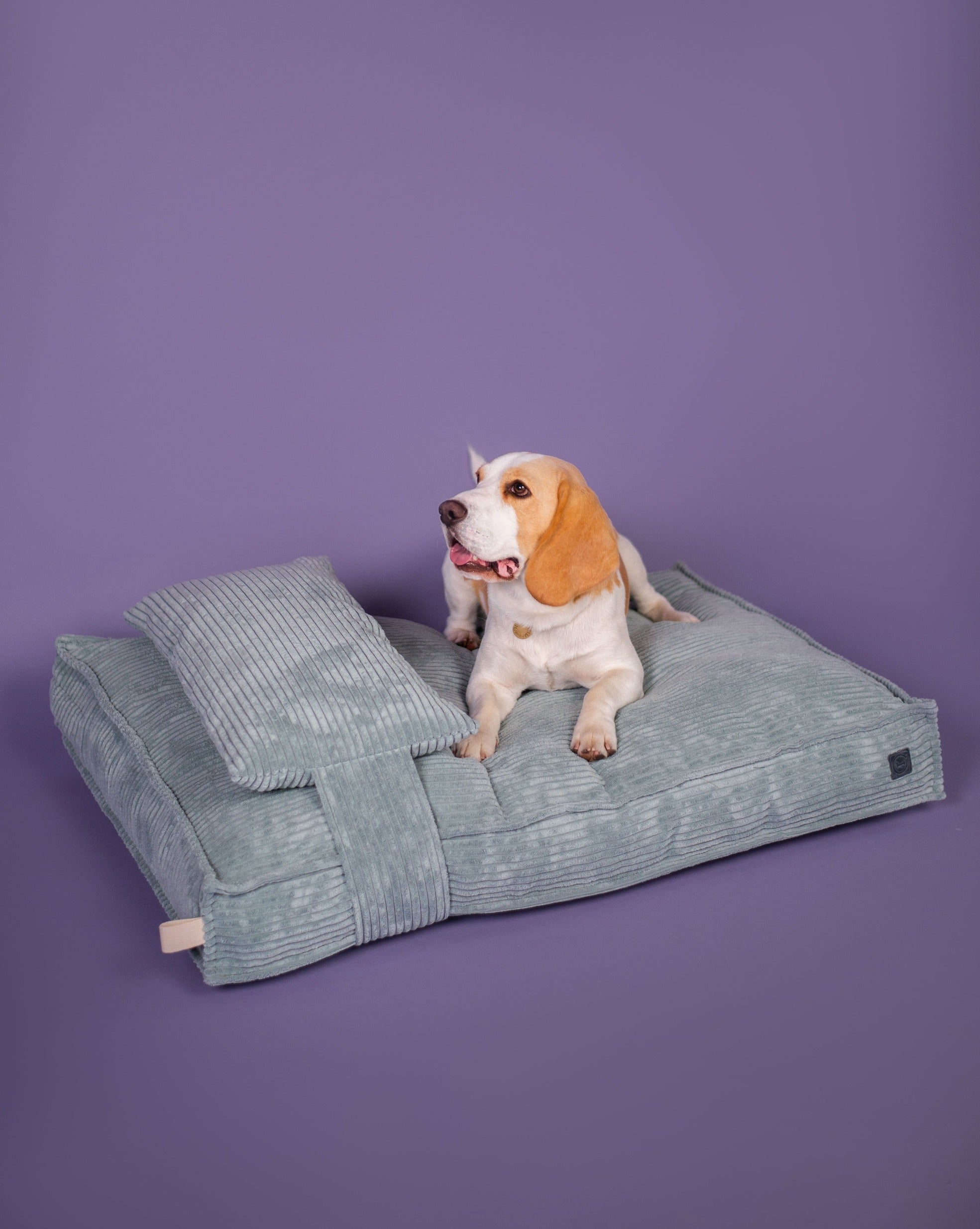 Memory Foam Dog Bed - Southlake Paws