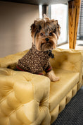 Load image into Gallery viewer, The Glamour Luxury Pet Bed in Dark Brown
