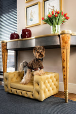The Glamour Luxury Pet Bed in Yellow