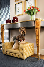 The Glamour Luxury Pet Bed in Blue
