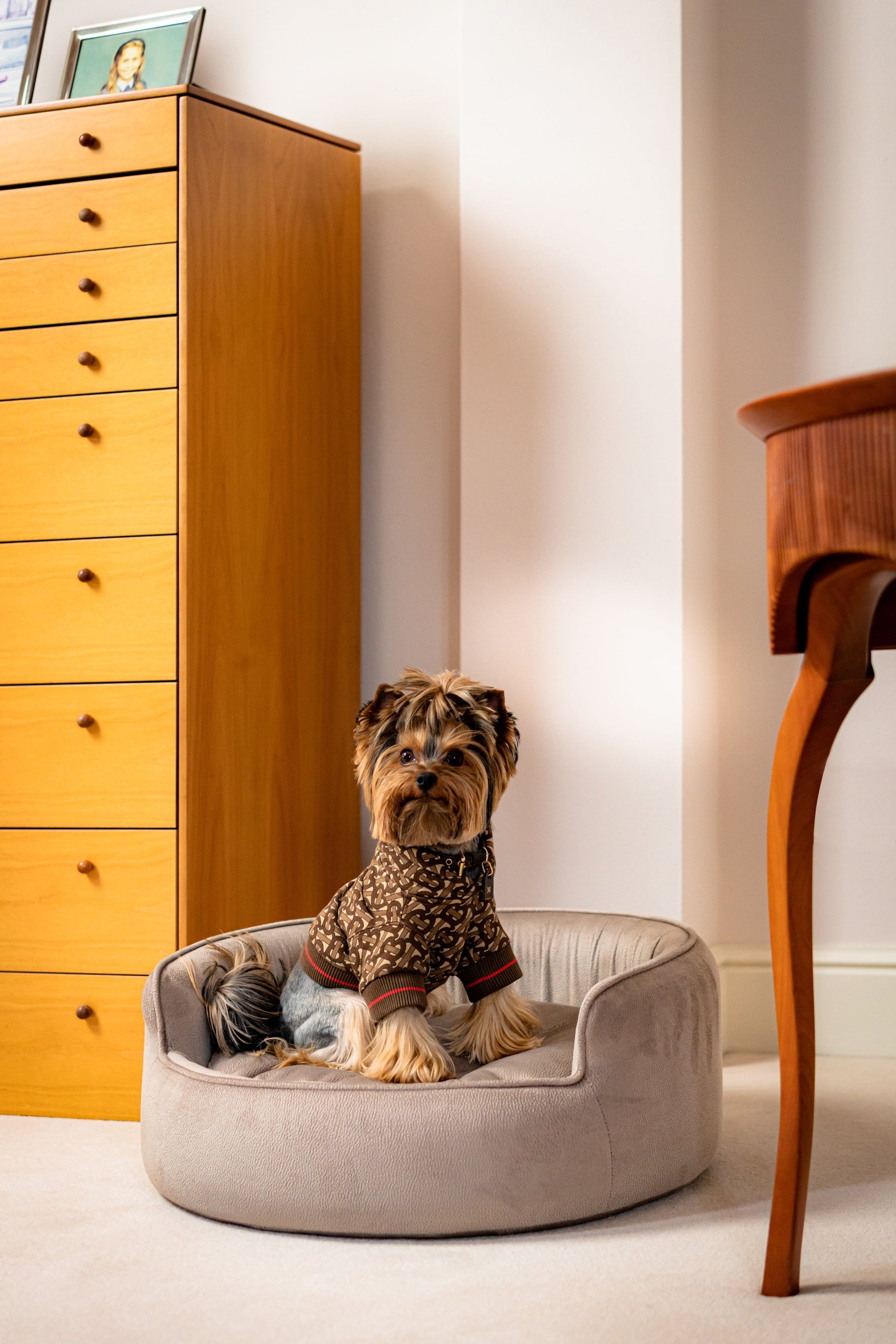 The Yin & Yang Luxury Pet Bed in Dark Brown