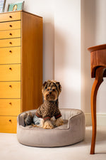 The Yin & Yang Luxury Pet Bed in Yellow