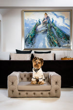 The Glamour Luxury Pet Bed in Blue
