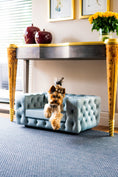 Load image into Gallery viewer, The Glamour Luxury Pet Bed in Yellow
