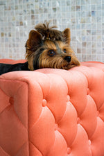 The Royal Luxury Pet Bed in Blue