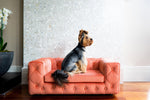 The Royal Luxury Pet Bed in Blue