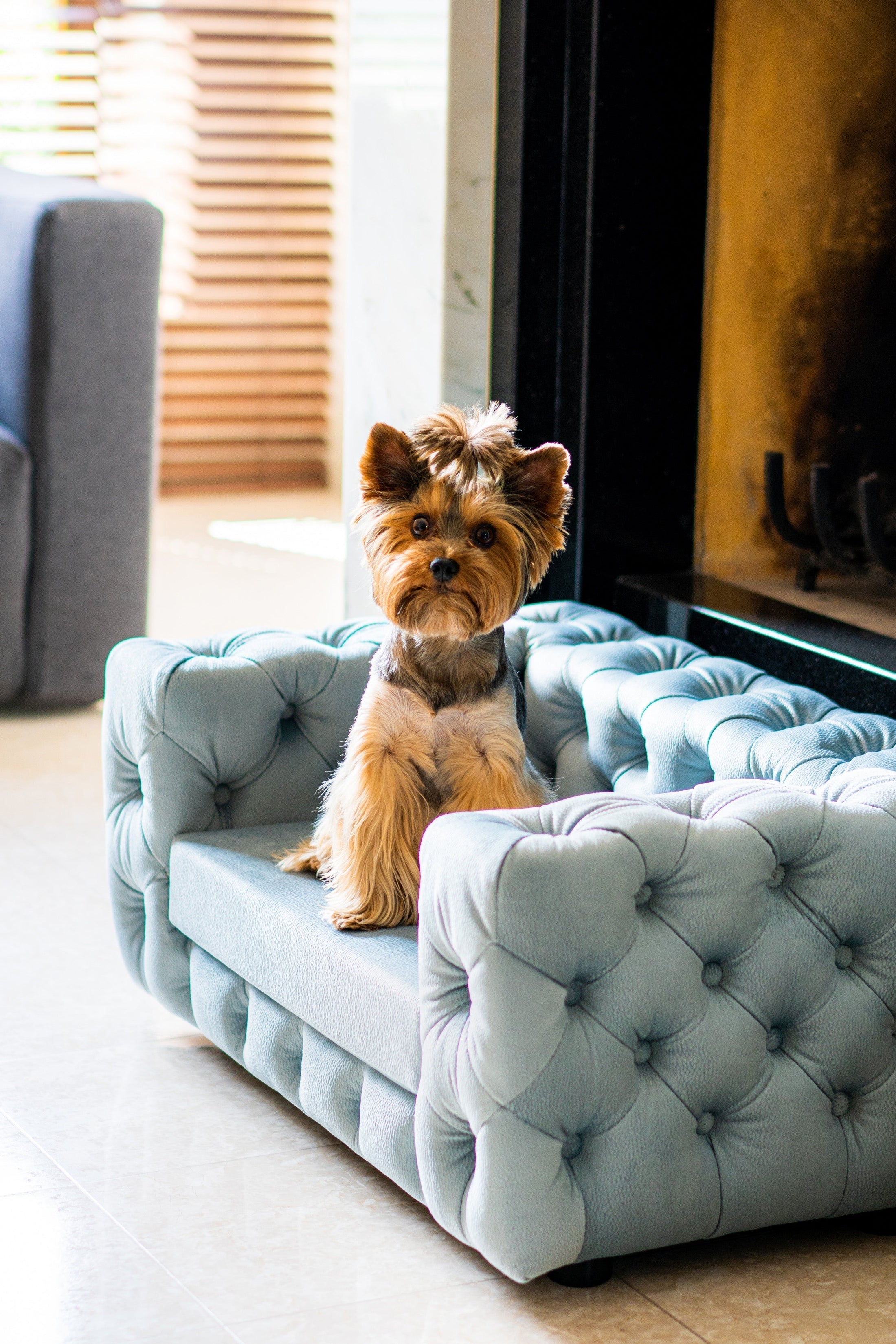 The Glamour Luxury Pet Bed in Dark Brown
