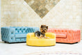 Load image into Gallery viewer, The Glamour Luxury Pet Bed in Yellow
