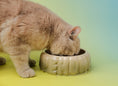 Load image into Gallery viewer, Puff Pet Bowl - Gradient Olive
