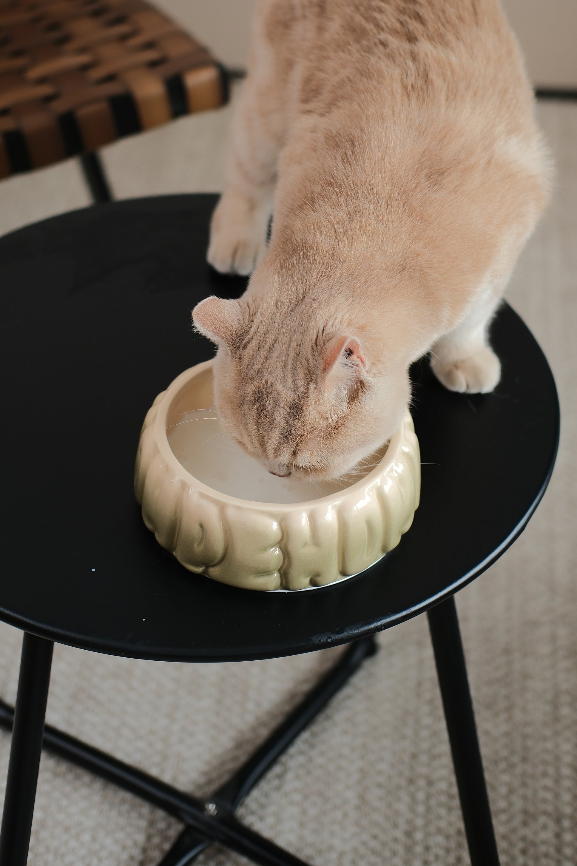 Puff Pet Bowl - Gradient Olive