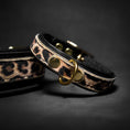 Load image into Gallery viewer, The Leopard Puppy Collar
