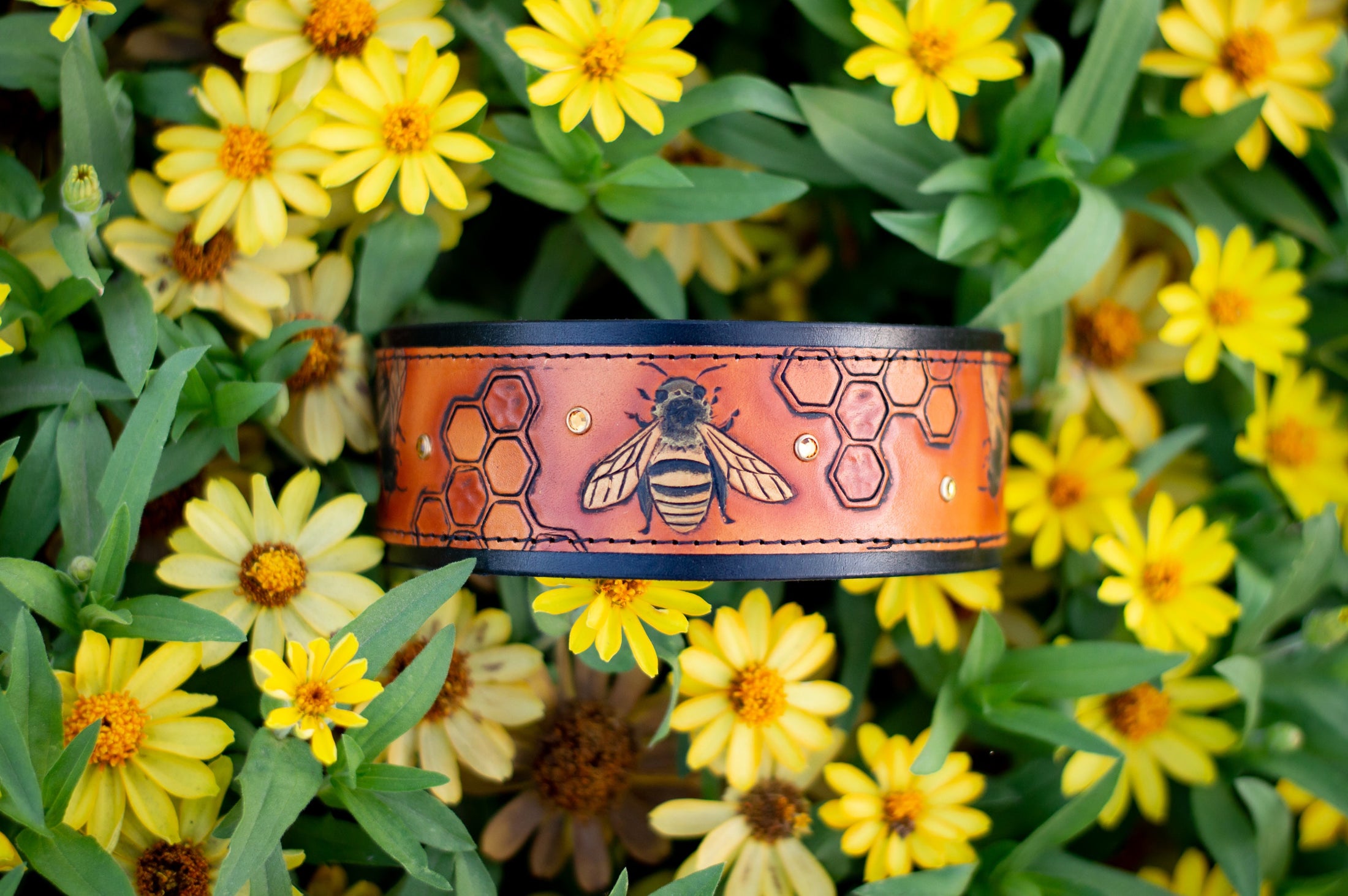 The Honey Bee Dog Collar - Southlake Paws