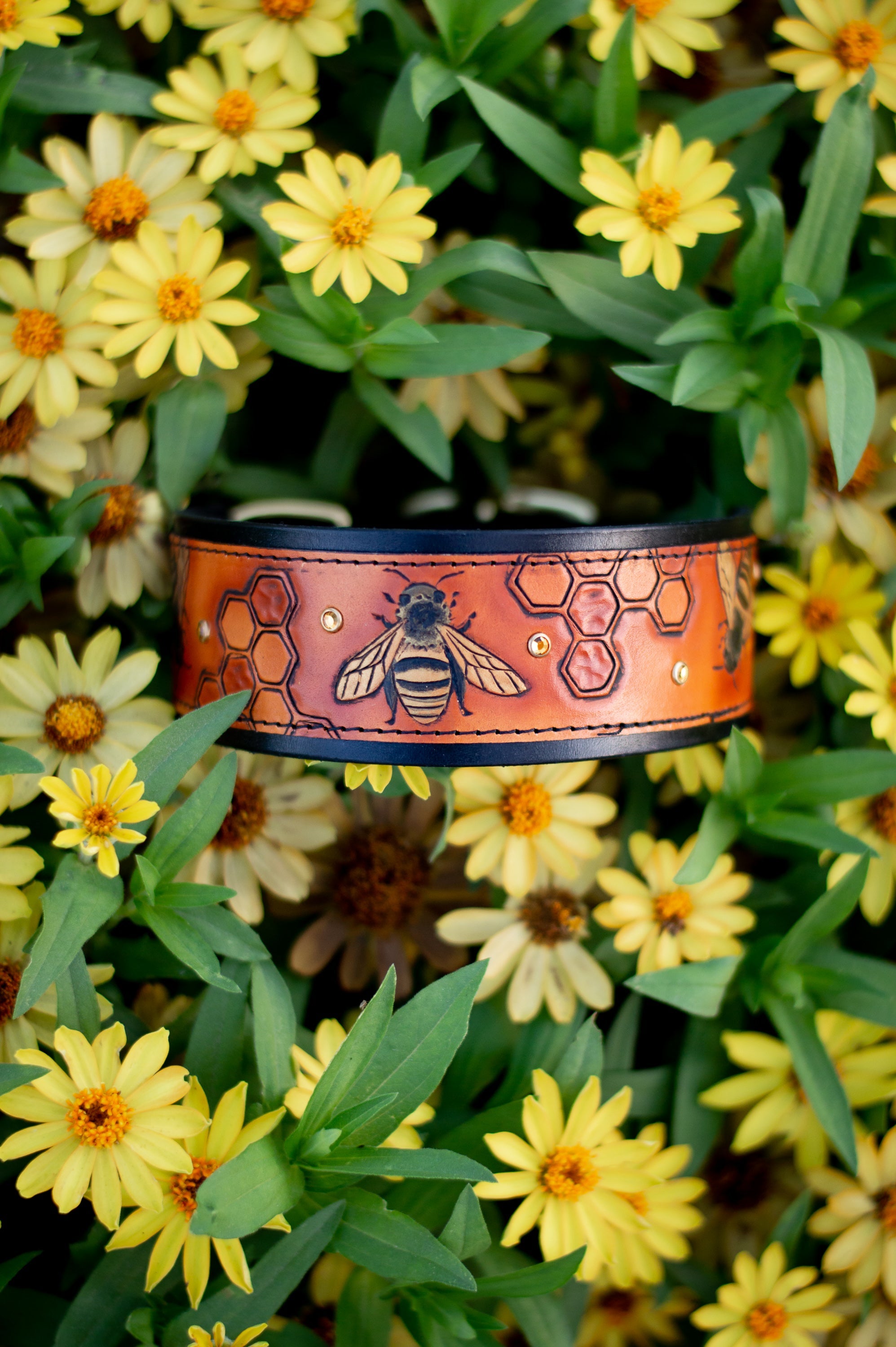 The Honey Bee Dog Collar - Southlake Paws