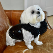 C’Mimi Designer Couture “Elektra” Dog Party Dress