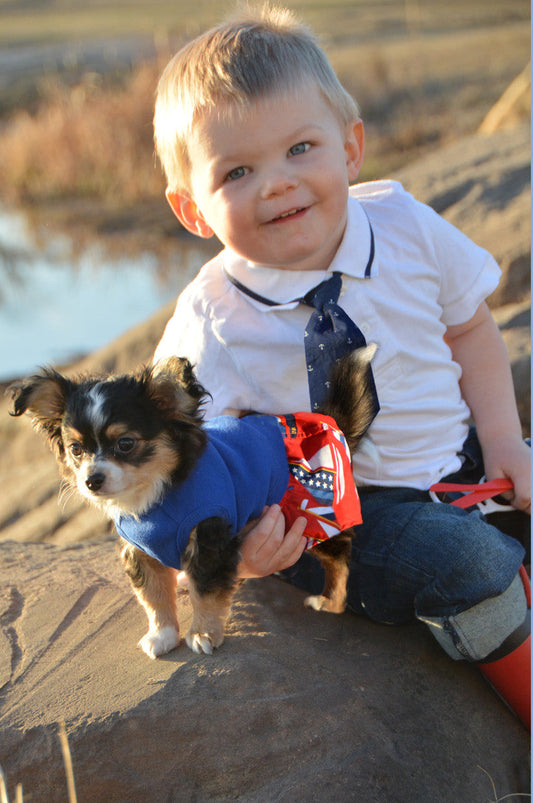 Sailboats Boxer Shorts for Dogs alternate view