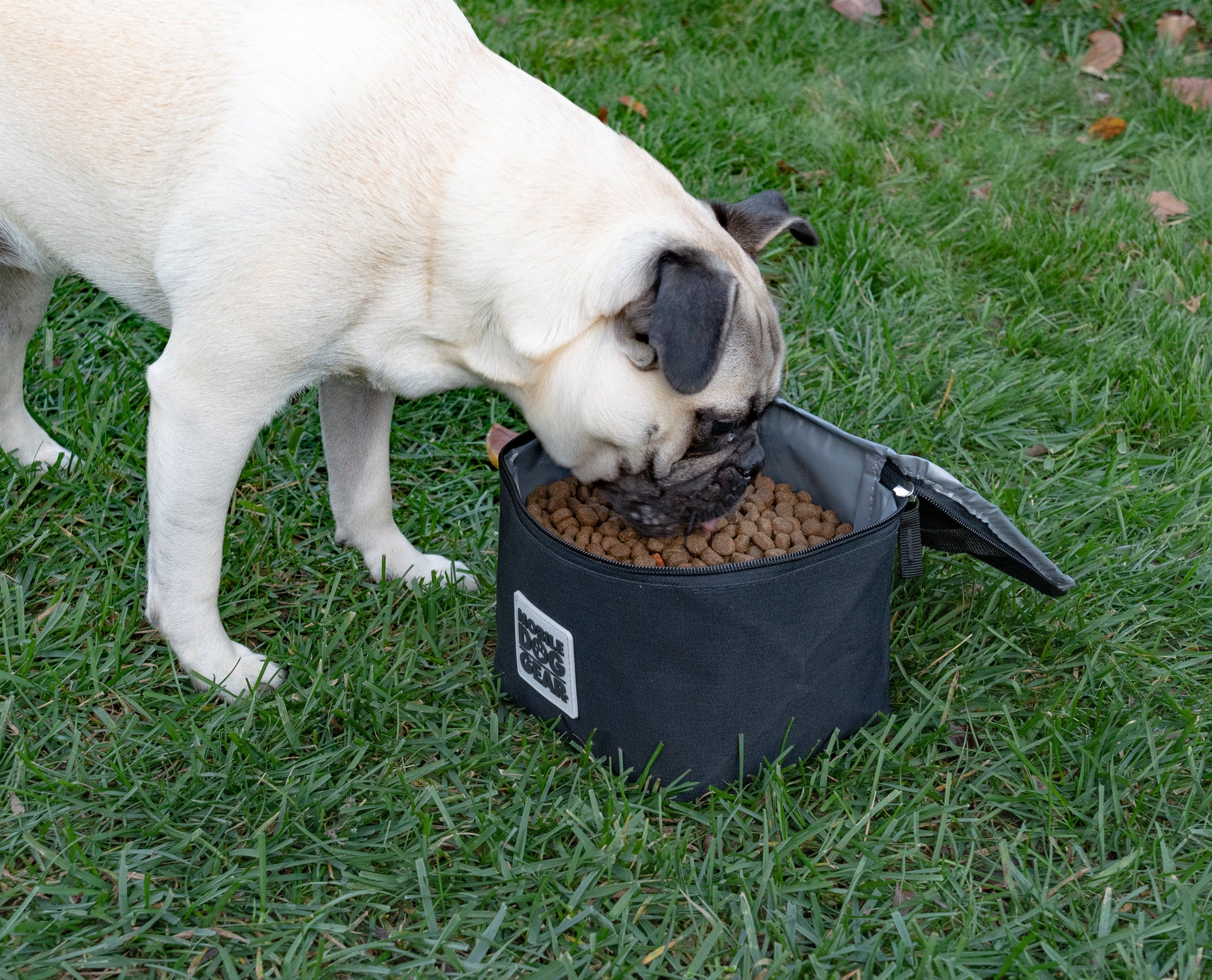 Replacement Insulated Dog Food Carriers