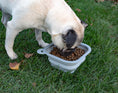 Load image into Gallery viewer, Replacement Collapsible Dog Bowls - Southlake Paws
