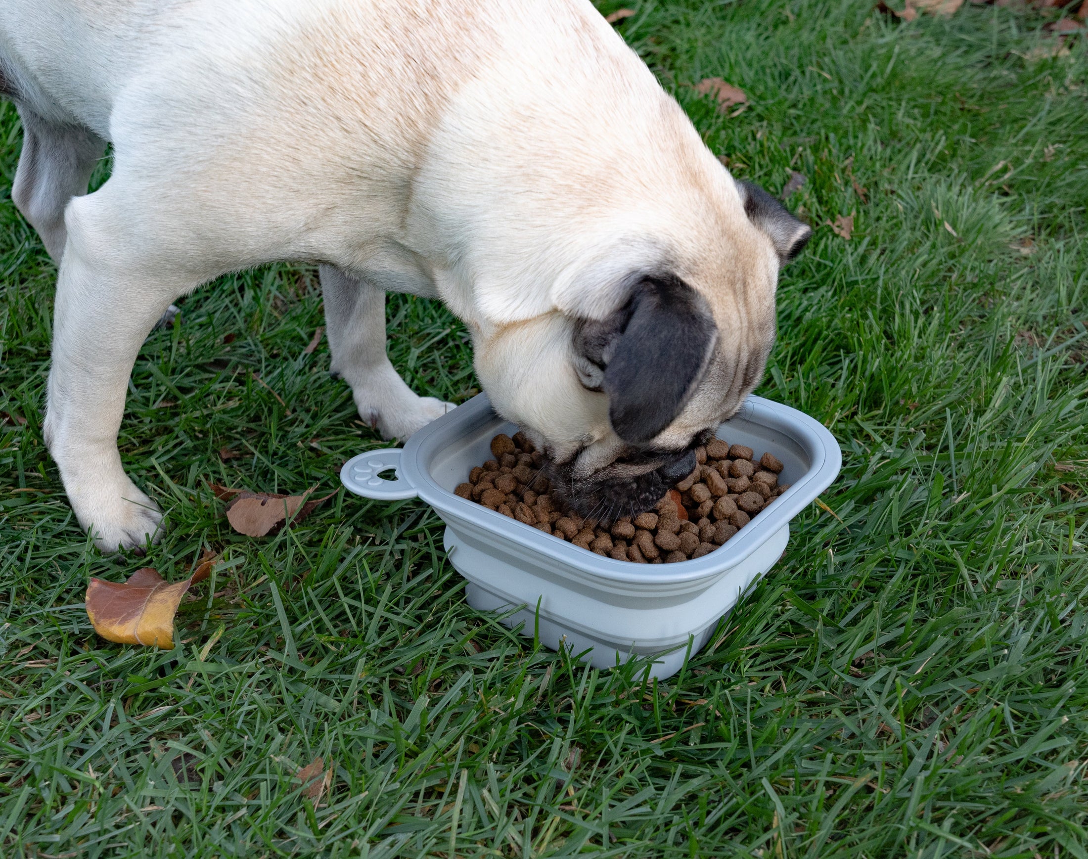 Replacement Collapsible Dog Bowls - Southlake Paws