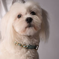 Load image into Gallery viewer, Leather Dog Collar in Cloud - Chain, Made in Italy
