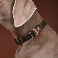 Load image into Gallery viewer, Leather Dog Collar in Military - Ribbon Classic, Made in Italy
