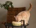 Load image into Gallery viewer, Puff Pet Bowl - Gradient Olive
