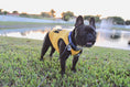 Load image into Gallery viewer, Parisian Pet 'FBI' Funny Slogan Dog Shirt – Trendy Yellow Pet Apparel for Dogs & Cats
