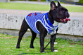 Load image into Gallery viewer, Parisian Pet 'Captain' Fun Sailor Dog Outfit – Soft and Breathable Nautical Pet Wear for Small Dogs & Cats, Blue & White Stripes
