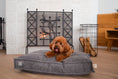 Load image into Gallery viewer, Memory Foam Dog Bed - Southlake Paws
