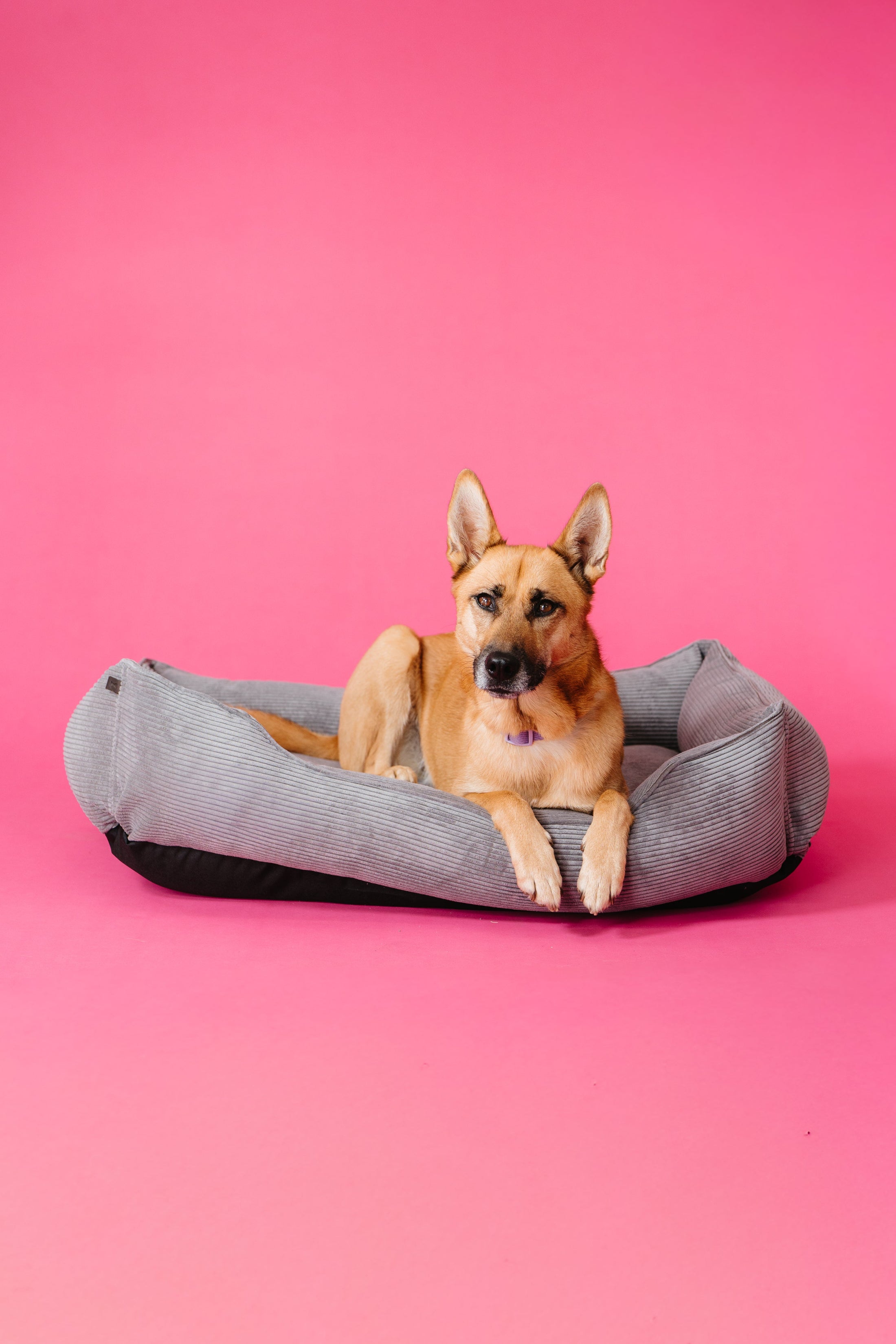 Chester & Lee | Fancy Corduroy Sleeper Dog Bed Gray - image 4