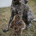 Load image into Gallery viewer, Star Wars Chewbacca Dog Toy Squeaker Plush
