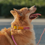 Braided Dog Collar Pink/Yellow