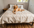 Load image into Gallery viewer, PupProtector™ Short Fur Waterproof Throw Blanket - White with Brown Accents
