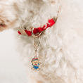 Load image into Gallery viewer, Dabbing American Bear Pet Charm
