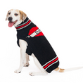 Load image into Gallery viewer, Dad Dog Sweater

