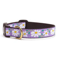 Load image into Gallery viewer, Daisy Dog Collar
