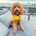 Load image into Gallery viewer, Nantucket Slicker
