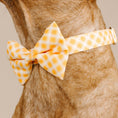 Load image into Gallery viewer, Daisy Dog Bow Tie
